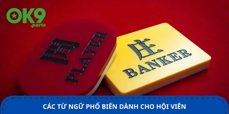 cac-tu-ngu-pho-bien-danh-cho-hoi-vien