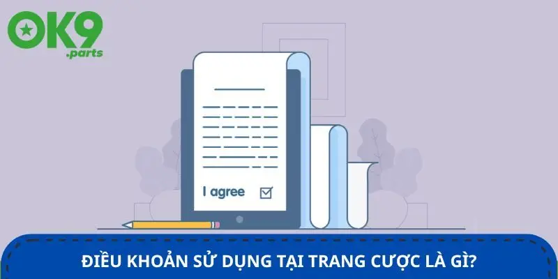 dieu-khoan-su-dung-tai-trang-cuoc-la-gi