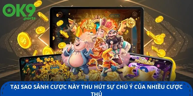 tai-sao-sanh-cuoc-nay-thu-hut-su-chu-y-cua-nhieu-cuoc-thu