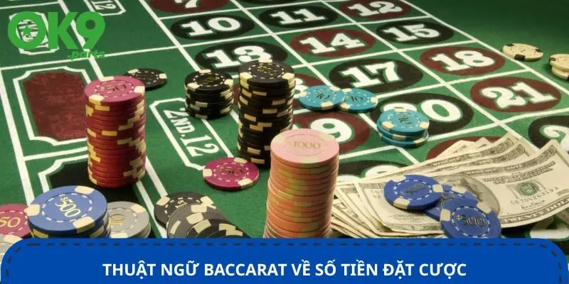 thuat-ngu-baccarat-ve-so-tien-dat-cuoc